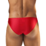 Bikini Mens Lingerie for Men - Image 30