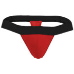 Thong Mens Lingerie for Men - Image 17