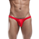 Thong Mens Lingerie for Men - Image 24