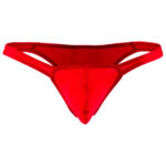 Thong Mens Lingerie for Men - Image 30