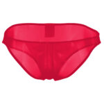 Brief Mens Lingerie for Men - Image 11