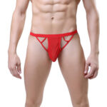 Bikini Mens Lingerie for Men - Image 16