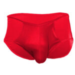 Brief Mens Lingerie for Men - Image 24