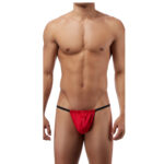 G String Mens Lingerie for Men - Image 29