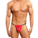 G String Mens Lingerie for Men - Image 32