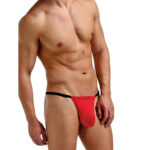 G String Mens Lingerie for Men - Image 37