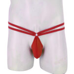 Thong Mens Lingerie for Men - Image 19