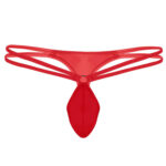 Thong Mens Lingerie for Men - Image 23