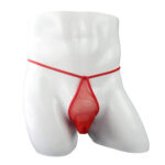 G String Mens Lingerie for Men - Image 30