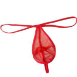G String Mens Lingerie for Men - Image 31