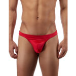 Thong Mens Lingerie for Men - Image 26