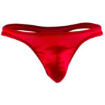 Thong Mens Lingerie for Men - Image 27