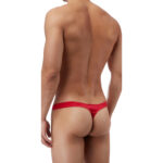 Thong Mens Lingerie for Men - Image 32