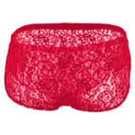 Boxer Mens Lingerie for Men - Image 13