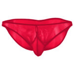 Bikini Mens Lingerie for Men - Image 13