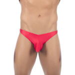 Bikini Mens Lingerie for Men - Image 34