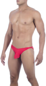 Bikini Mens Lingerie for Men - Image 41