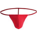 G String Mens Lingerie for Men - Image 34