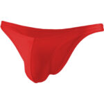 Bikini Mens Lingerie for Men - Image 29
