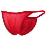 Thong Mens Lingerie for Men - Image 28
