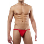 Thong Mens Lingerie for Men - Image 31