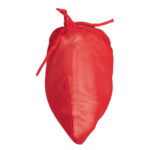 Pouch Mens Lingerie for Men - Image 11