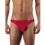 Bikini Mens Lingerie for Men - Image 10