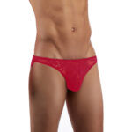 Bikini Mens Lingerie for Men - Image 11