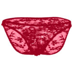 Bikini Mens Lingerie for Men - Image 12