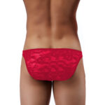 Bikini Mens Lingerie for Men - Image 15