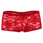 Boxer Mens Lingerie for Men - Image 9