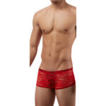 Boxer Mens Lingerie for Men - Image 13