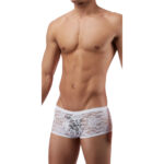 Boxer Mens Lingerie for Men - Image 20
