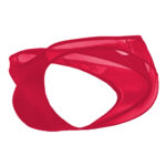 Bikini Mens Lingerie for Men - Image 9