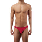 Bikini Mens Lingerie for Men - Image 7