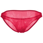 Bikini Mens Lingerie for Men - Image 10