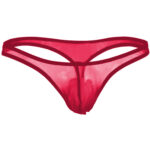 Thong Mens Lingerie for Men - Image 18