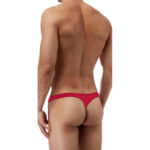 Thong Mens Lingerie for Men - Image 20