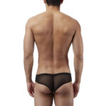 Brief Mens Lingerie for Men - Image 4