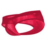 Brief Mens Lingerie for Men - Image 11