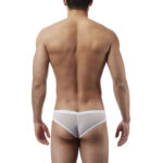 Brief Mens Lingerie for Men - Image 15