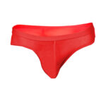 Bikini Mens Lingerie for Men - Image 27