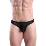 Bikini Mens Lingerie for Men