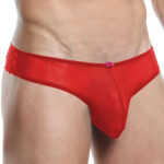 Bikini Mens Lingerie for Men - Image 9