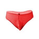 Bikini Mens Lingerie for Men - Image 11
