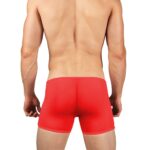 Boxer Mens Lingerie for Men - Image 16
