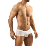 Boxer Mens Lingerie for Men - Image 6