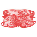 Brief Mens Lingerie for Men - Image 11