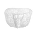 Bikini Mens Lingerie for Men - Image 11