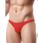 Brief Mens Lingerie for Men - Image 20